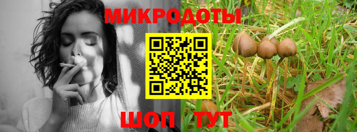 Галлюциногенные грибы Psilocybe  Вход с VPN  Нижневартовск  Галлюциногенные грибы мухоморы 